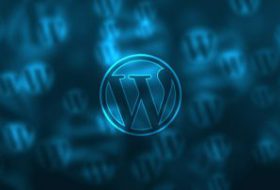 WordPress logo 3D
