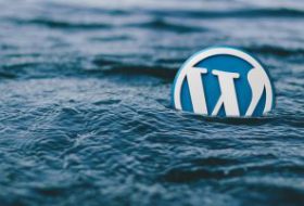 WordPress logotyp w wodzie